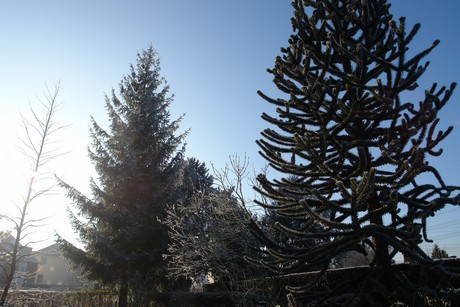 winter