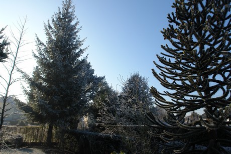 winter