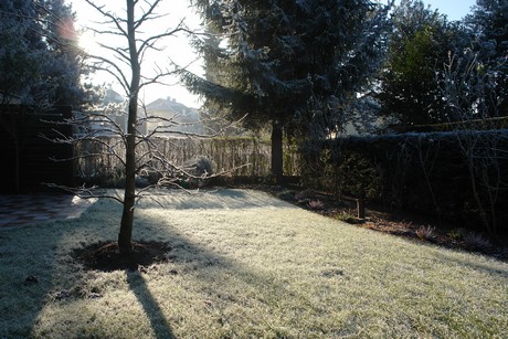 winter
