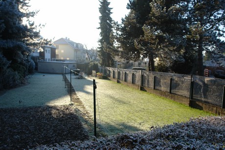 winter