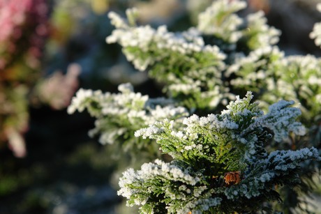 winter