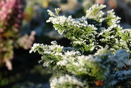 winter