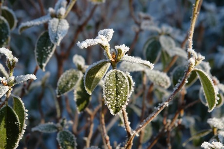 winter