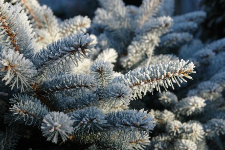 winter