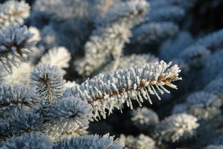 winter