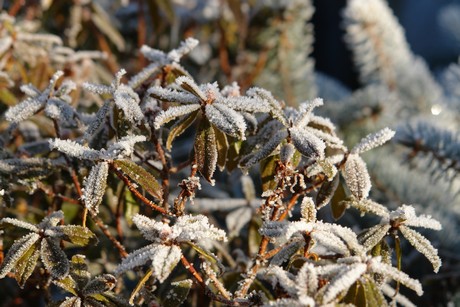 winter