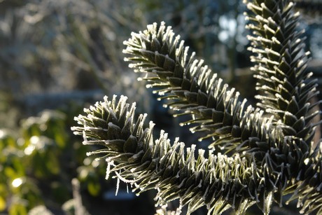winter