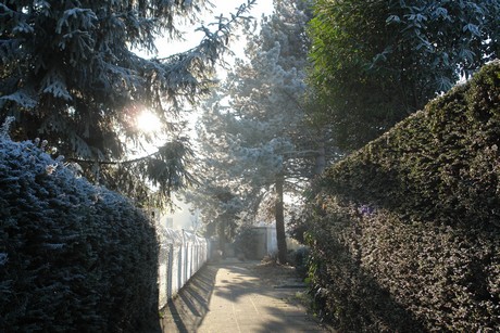winter