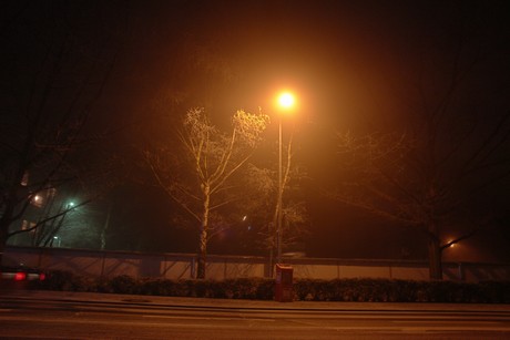 winter