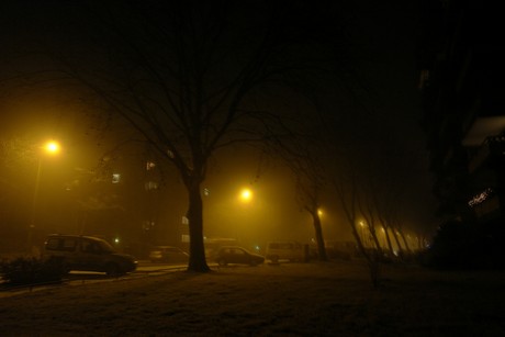 winter