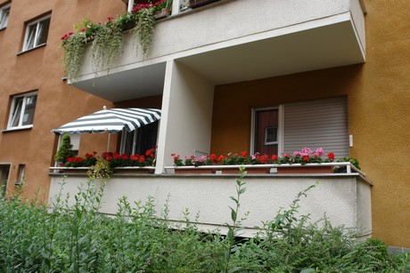weidenpesch