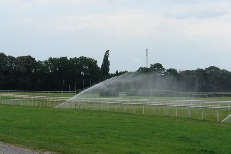 weidenpesch