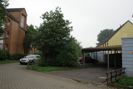weiler