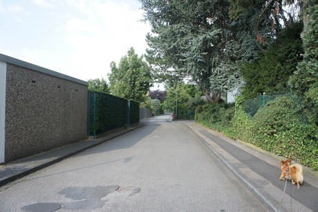 widdersdorf