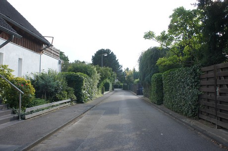 widdersdorf