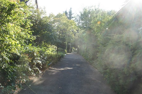 widdersdorf