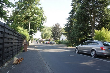 widdersdorf