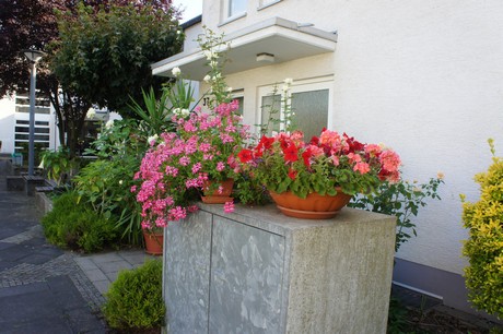 widdersdorf