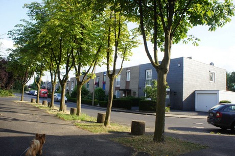 widdersdorf