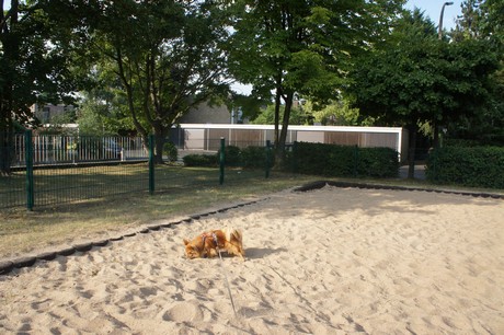 widdersdorf