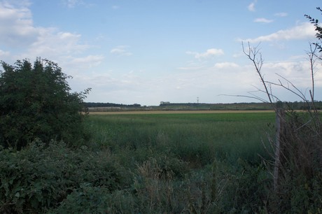 widdersdorf