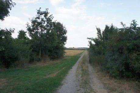 widdersdorf