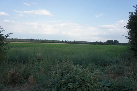 widdersdorf