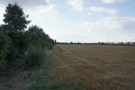 widdersdorf