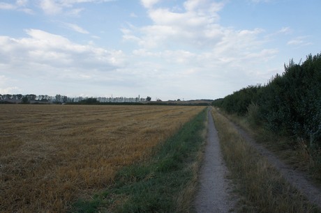 widdersdorf