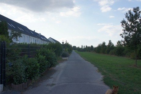 widdersdorf