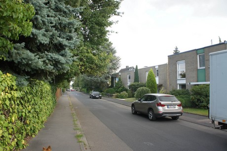 widdersdorf