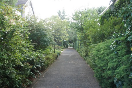 widdersdorf