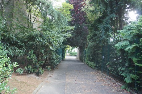 widdersdorf