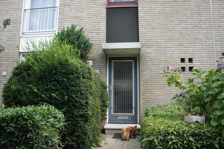 widdersdorf