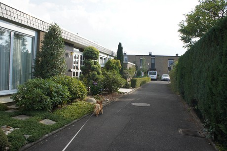widdersdorf