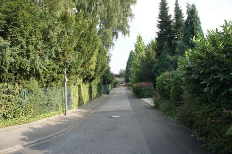 widdersdorf