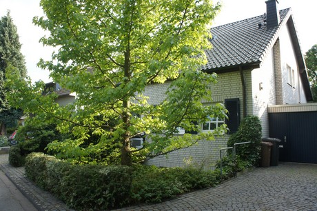 widdersdorf