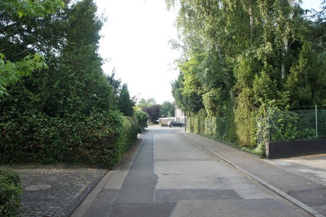 widdersdorf