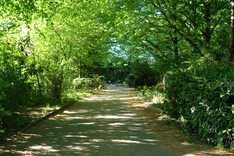 friedhof-hauptstrasse