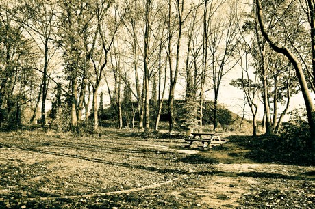 widdersdorf
