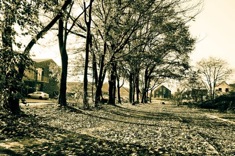 widdersdorf