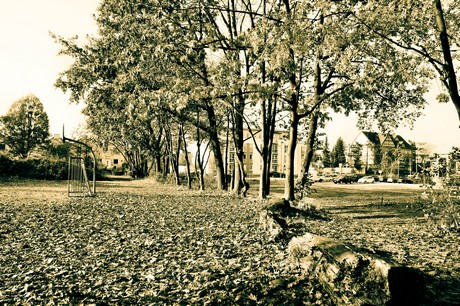 widdersdorf