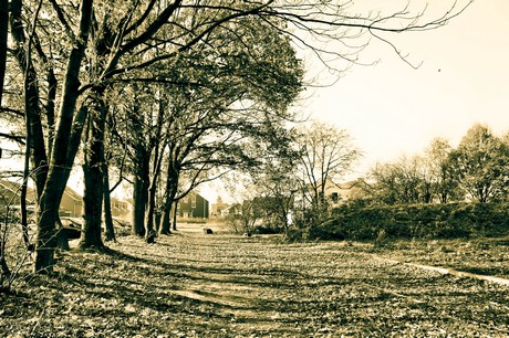 widdersdorf