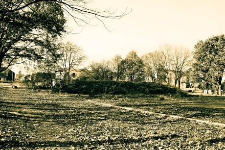 widdersdorf
