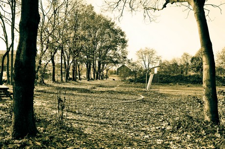 widdersdorf
