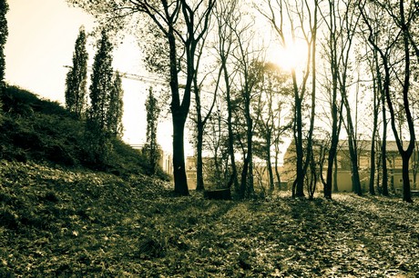 widdersdorf
