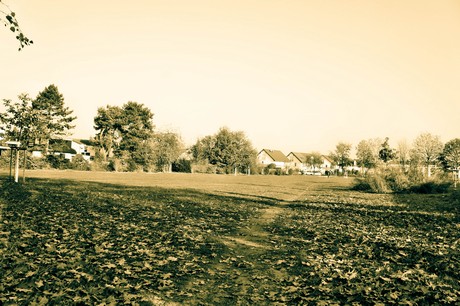 widdersdorf