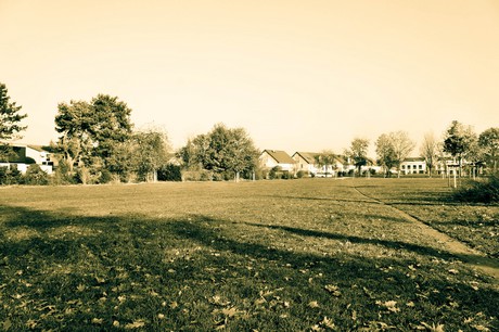 widdersdorf