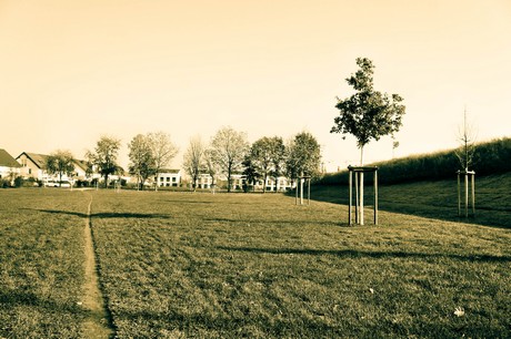 widdersdorf