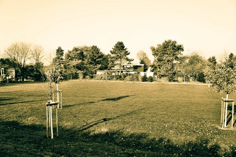 widdersdorf